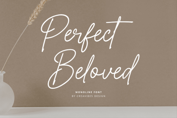 Perfect Beloved: A Monoline Font for Timeless Branding